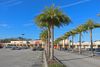 8102 Blanding Blvd photo